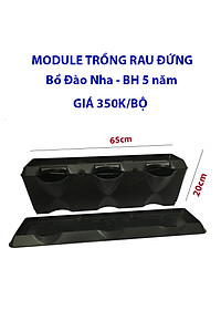 product-img-15