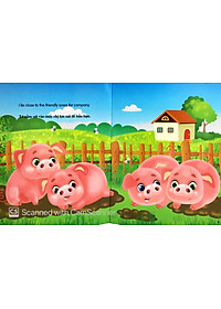 product-img-10
