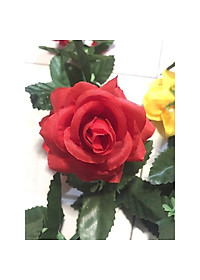 product-img-5