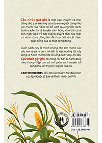 product-img-8