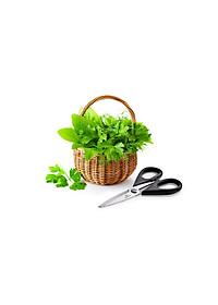 Kéo Làm Bếp Đa Năng Benchusch - Hàng Chính Hãng