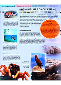 Tủ Sách Thế Giới Động Vật - Giác Quan Và Giao Tiếp (Hình Minh Họa 3D)