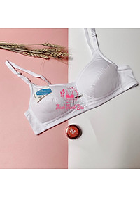 Áo lót Bra vải cotton Thái Lan vải  B.1134 – Form Cup A, không gọng
