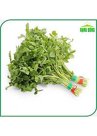 Hạt giống Xà Lách Xoong Sinh Trưởng Khỏe, Trồng Quanh Năm (gói 1 gram) - Hạt Giống Rạng Đông