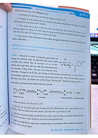 product-img-10