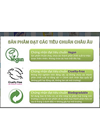 Chai tẩy dầu mỡ cháy khét Astonish C6750 750ml Anh Quốc