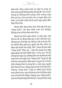 product-img-11