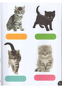 product-img-5