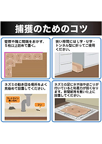 Miếng Dán Bẫy Chuột Bằng Keo Siêu Dính Hiệu Quả Và An Toàn