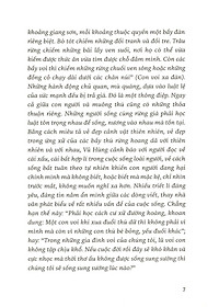 product-img-10