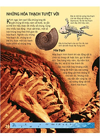 Sách Bách Khoa Tri Thức Về Khám Phá Thế Giới Cho Trẻ Em - Khủng Long (Tái Bản 2018)