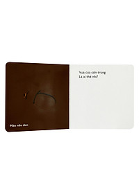 Sách Cùng Chơi Trốn Tìm - Tập 10: Côn Trùng