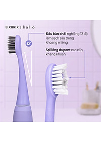 Combo 2 Bàn Chải Điện Halio Sonic Whitening Electric Toothbrush PRO – Rose Gold & Periwinkle
