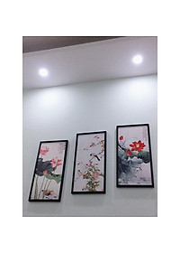 product-img-1