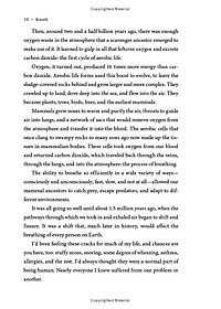 product-img-12