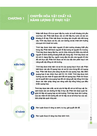 product-img-12