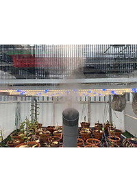 Đèn Trồng Cây và Quang Hợp Cho Lan, Chính Hãng Rạng Đông, Phổ Chuyên Dụng WBU, Công Suất 16W/25W/50W - Hàng chính hãng