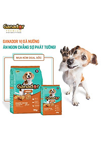 Thức ăn cho chó trưởng thành Ganador vị gà nướng - Adult Roasted Chicken Flavor Combo 5 gói 400gr/gói