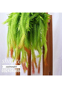 Cụm Rủ Đuôi Chồn Trang Trí dài 45cm 5 nhánh