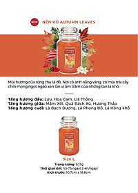 Nến hũ Yankee Candle size L - Autumn Leaves (623g)