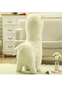 product-img-2