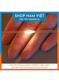 Dây LED Rèm Trang Trí Giáng Sinh 10 Chi Tiết Ngang 3m, Kèm Remote - Chính Hãng NAVIVU