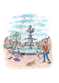 Sách Adiba Bà Phù Thủy Trên Cây Sồi