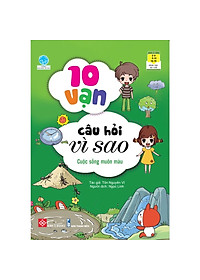 product-img-9