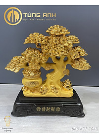 product-img-6