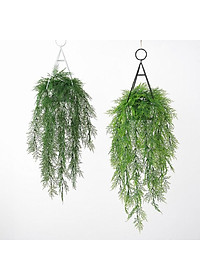 product-img-10