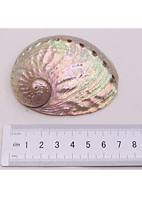 product-img-8