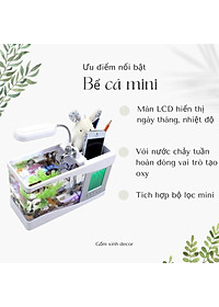 product-img-5