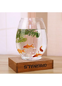 Chậu thuỷ tinh miệng khum chuyên dùng trồng cây thủy sinh, thủy canh, bình nuôi cá để bàn