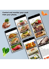 Máy nấu chậm Sous Vide BioloMix SV-9008 kết nối Wifi, công suất 1300W-Hàng chính hãng