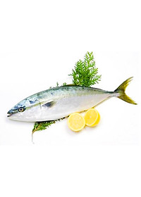 product-img-0