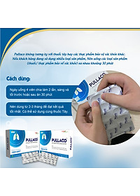 TPBVSK PULLACO – Hỗ trợ giảm ho đờm, khò khè, khó thở