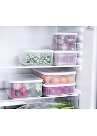 Combo 04 hộp nhựa cao cấp bảo quản thực phẩm Nakaya hình chữ nhật (Full size) - Nội địa Nhật Bản