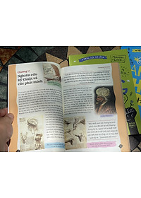 product-img-2