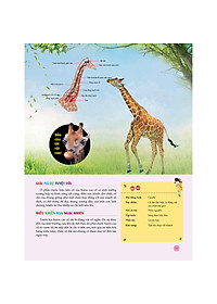 product-img-8