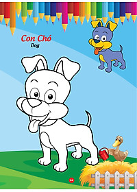 product-img-5