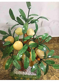 product-img-2