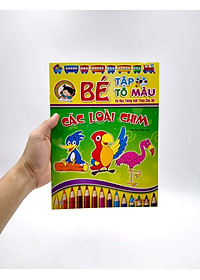 product-img-6