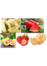 product-img-0
