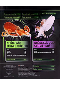 product-img-11