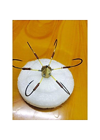 product-img-2