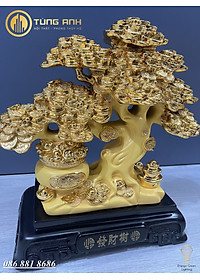 product-img-7