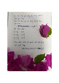 product-img-9
