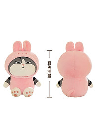 product-img-5