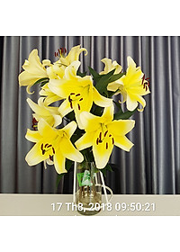 Chăm sóc hoa lâu tàn bằng bột dưỡng cho hoa cắt cành nhập khẩu Israel (Set 50 gói) giữ hoa lâu tàn gấp 2 lần bình thường và 14 ngày không thay nước mới