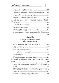 product-img-11